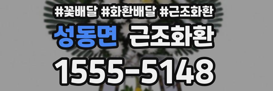 성동면 근조화환
