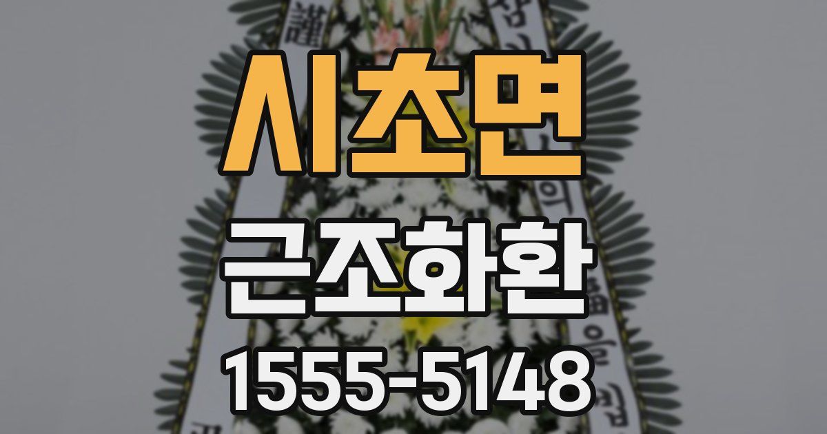 시초면 근조화환