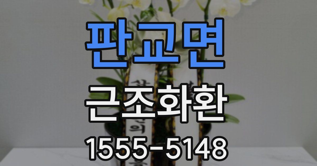 판교면 근조화환