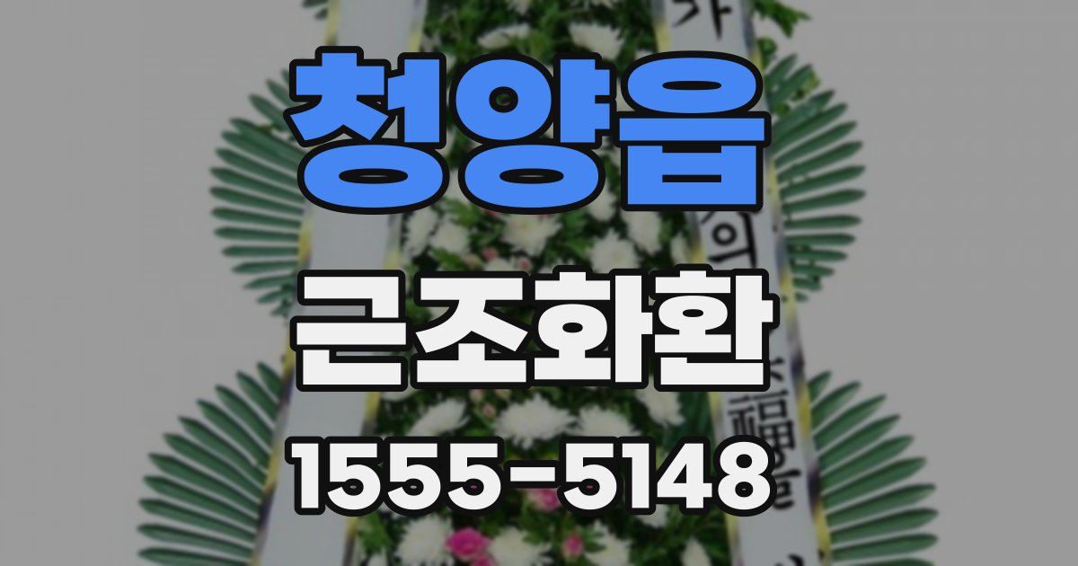 청양읍 근조화환