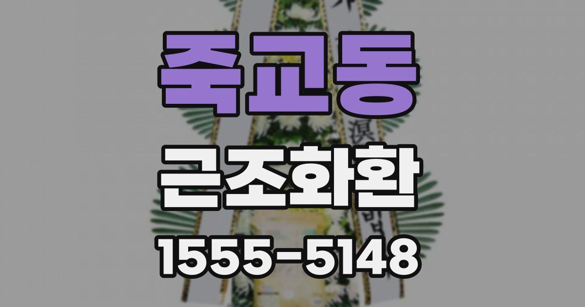 죽교동 근조화환