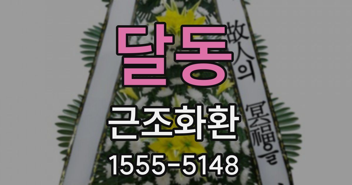 달동 근조화환