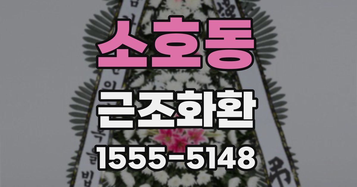 소호동 근조화환