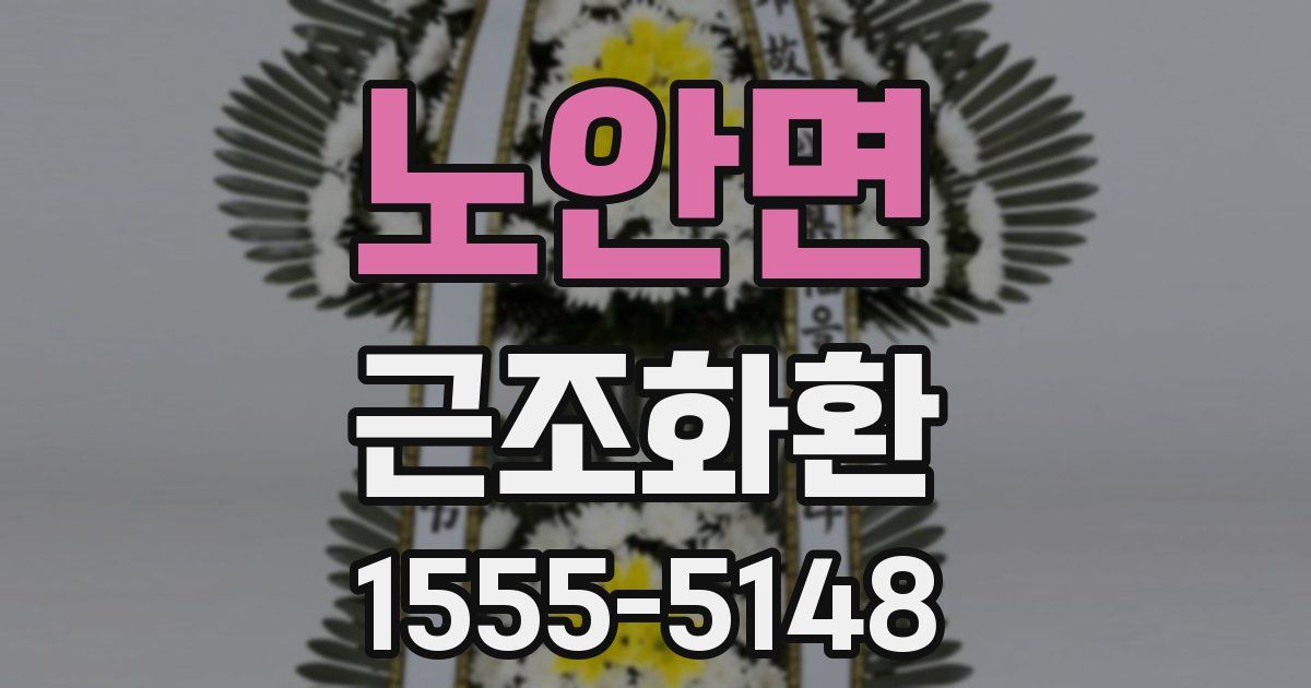 노안면 근조화환