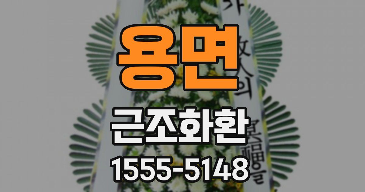 용면 근조화환