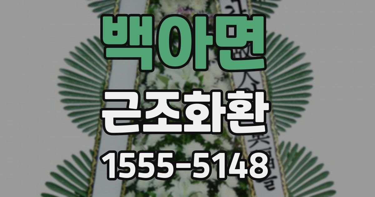 백아면 근조화환