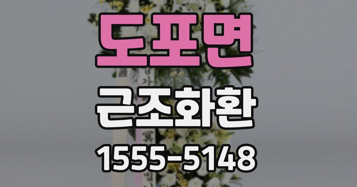 도포면 근조화환