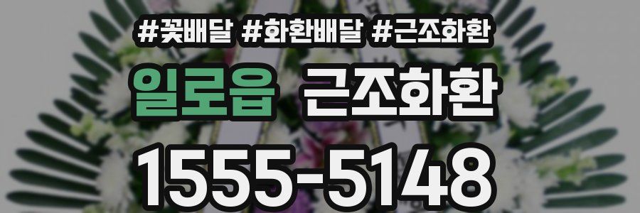 일로읍 근조화환