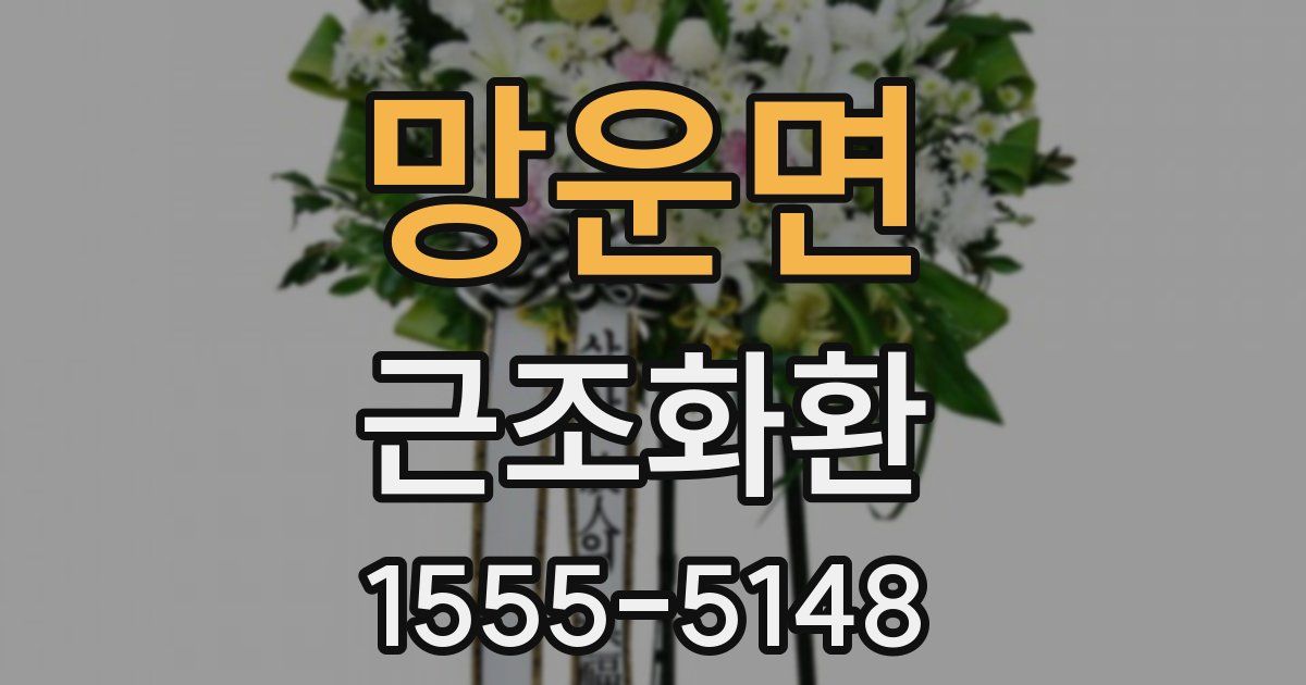 망운면 근조화환