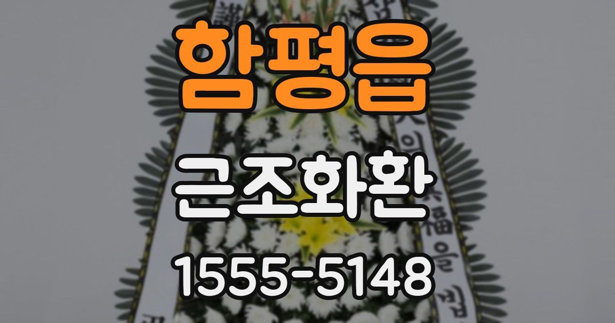 함평읍 근조화환