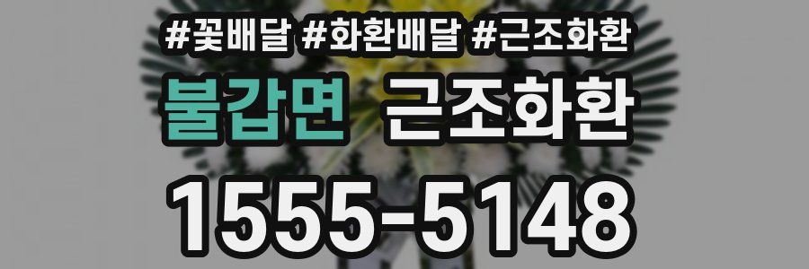 불갑면 근조화환