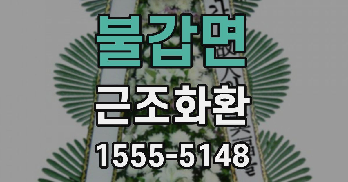 불갑면 근조화환