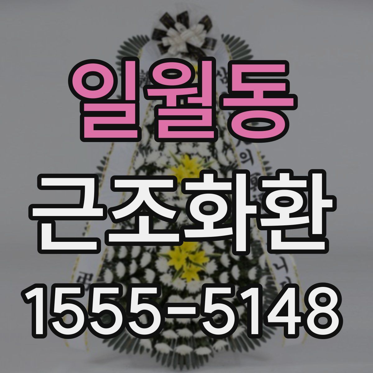 일월동 근조화환