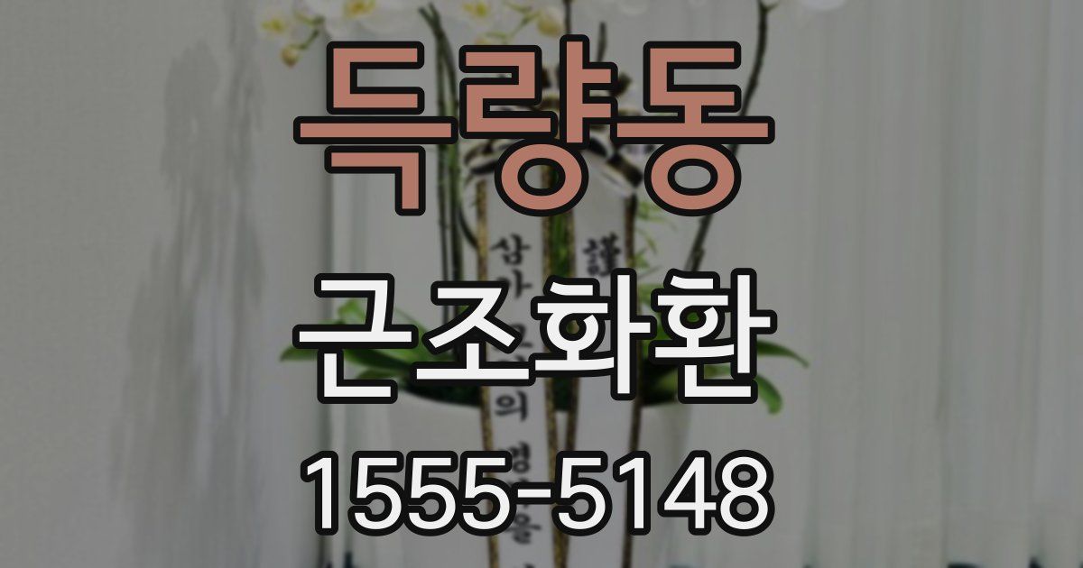 득량동 근조화환