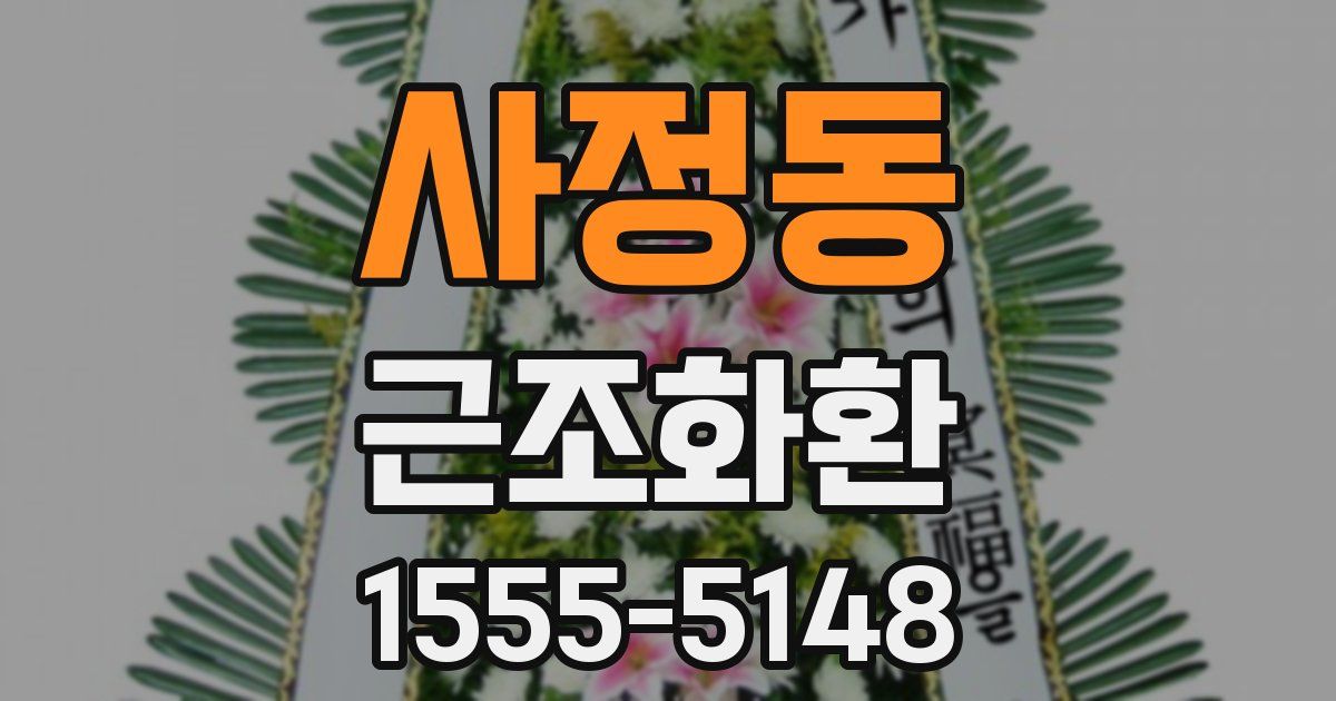 사정동 근조화환