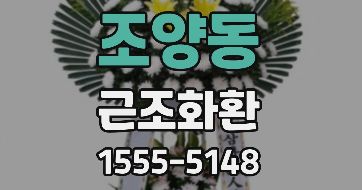 조양동 근조화환