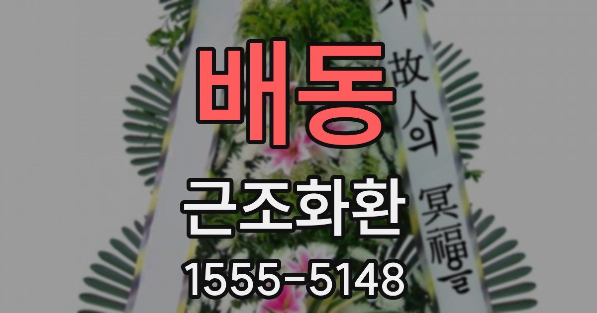 배동 근조화환