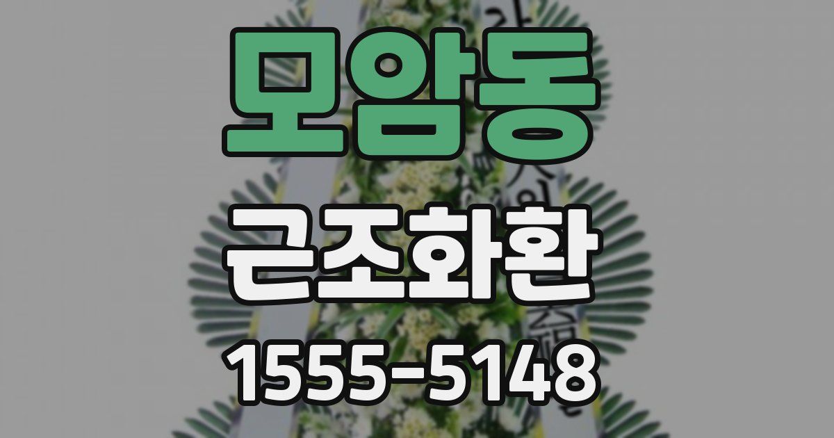모암동 근조화환