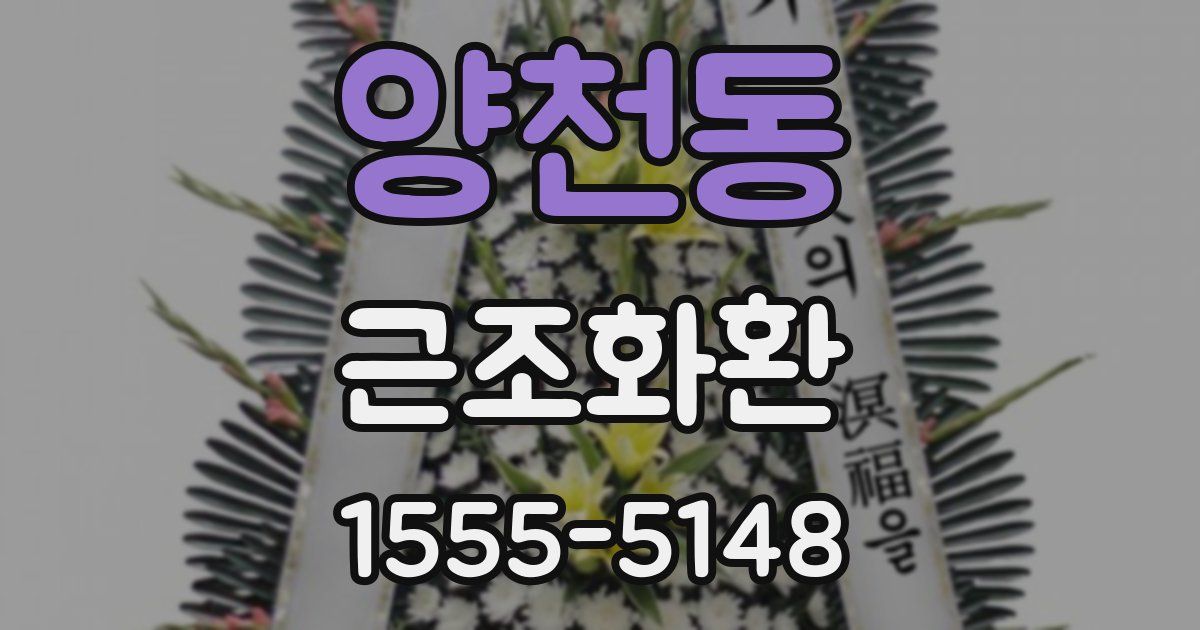 양천동 근조화환