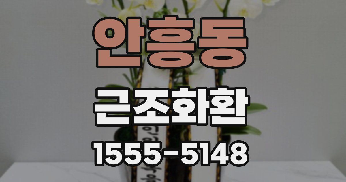안흥동 근조화환