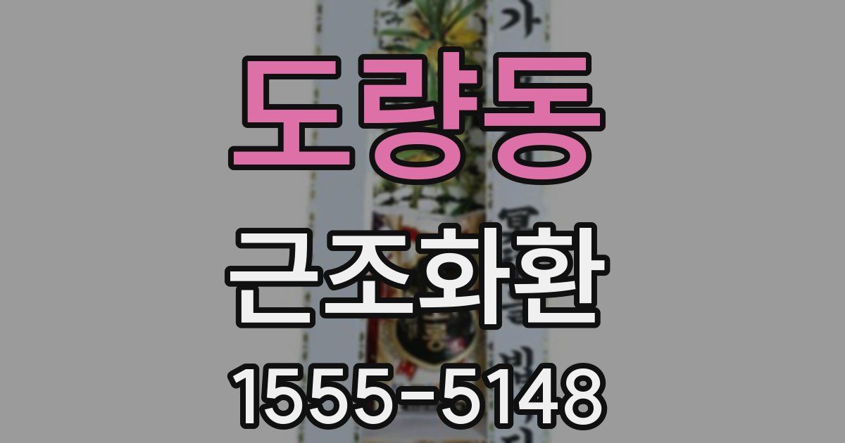 도량동 근조화환
