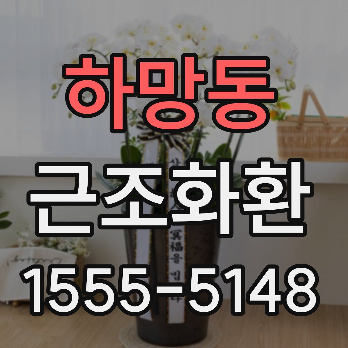 하망동 근조화환