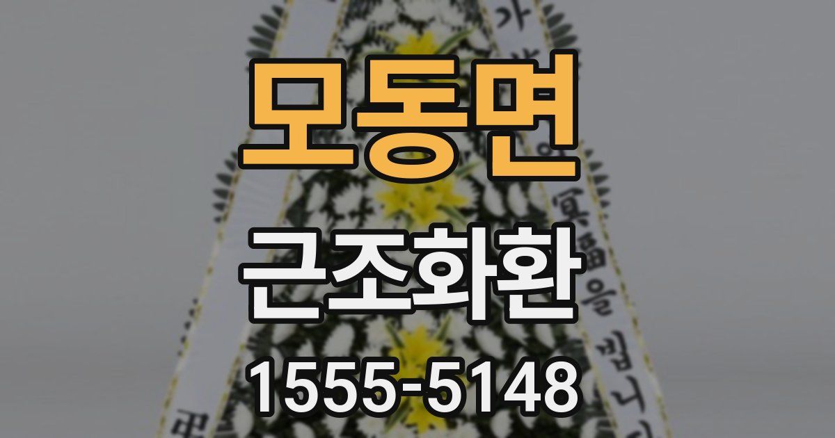 모동면 근조화환