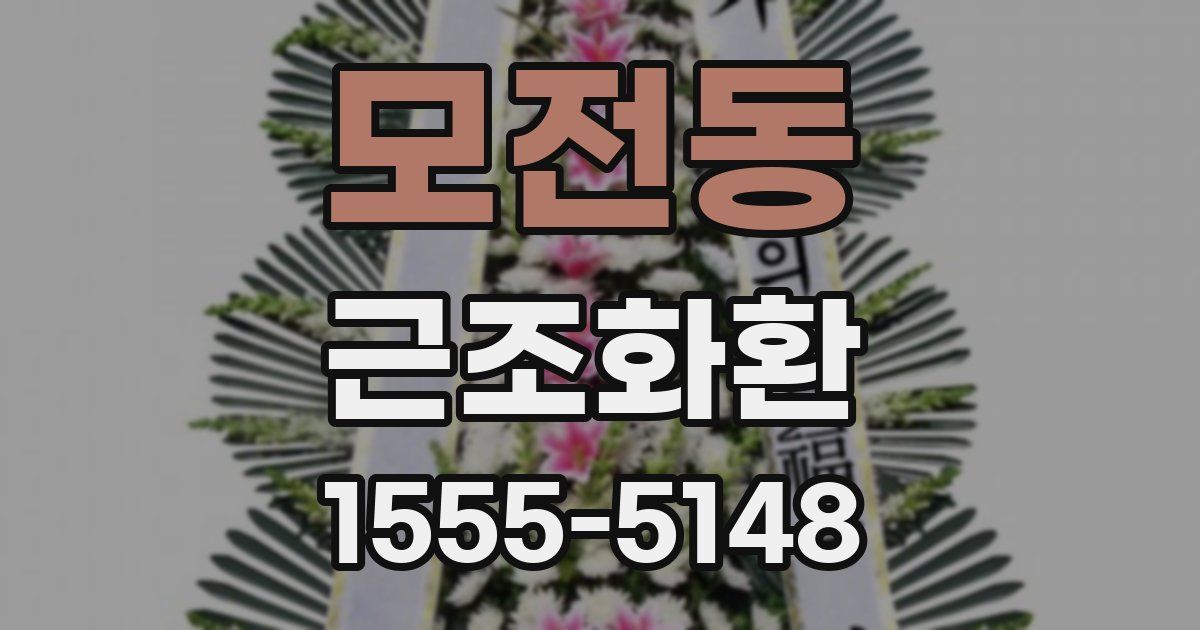 모전동 근조화환