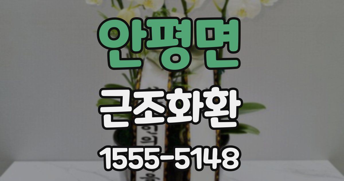 안평면 근조화환