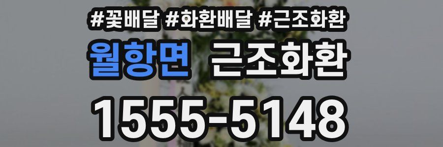 월항면 근조화환