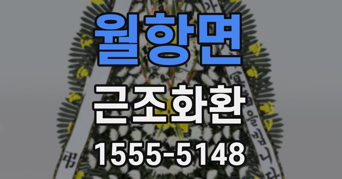 월항면 근조화환