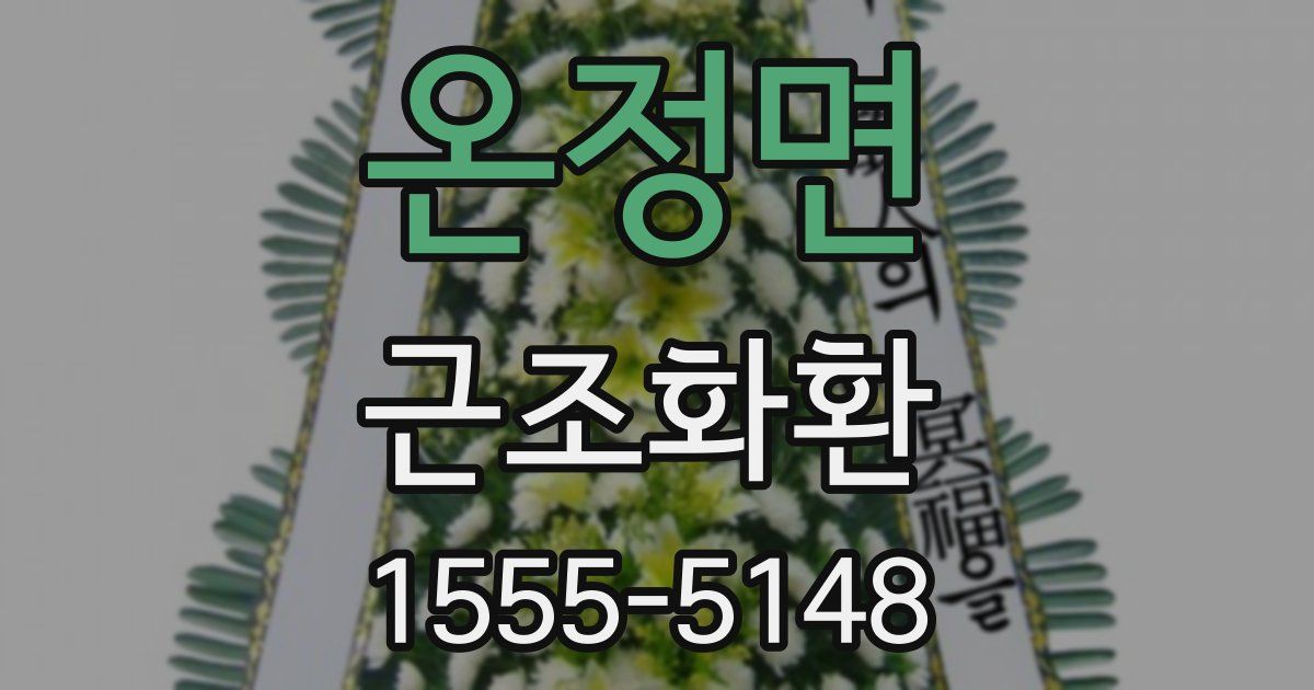 온정면 근조화환