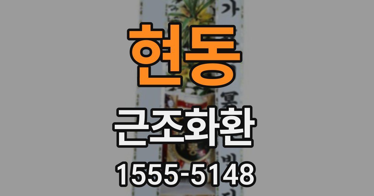 현동 근조화환