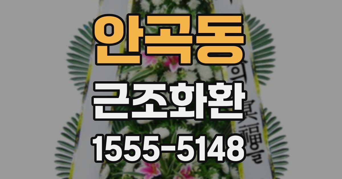 안곡동 근조화환