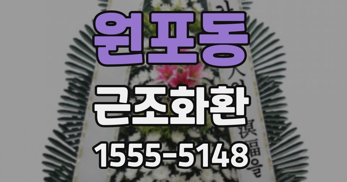 원포동 근조화환