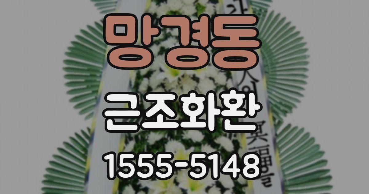 망경동 근조화환
