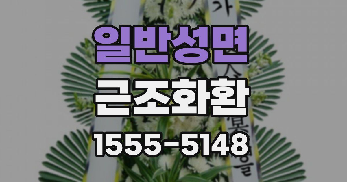 일반성면 근조화환