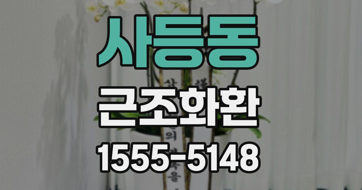 사등동 근조화환