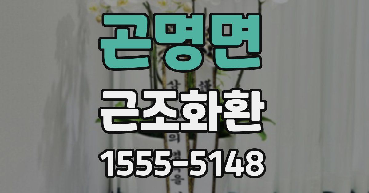 곤명면 근조화환