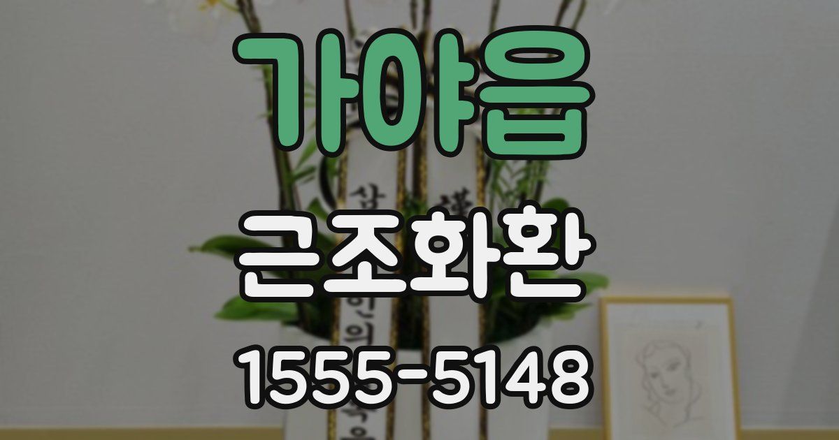 가야읍 근조화환