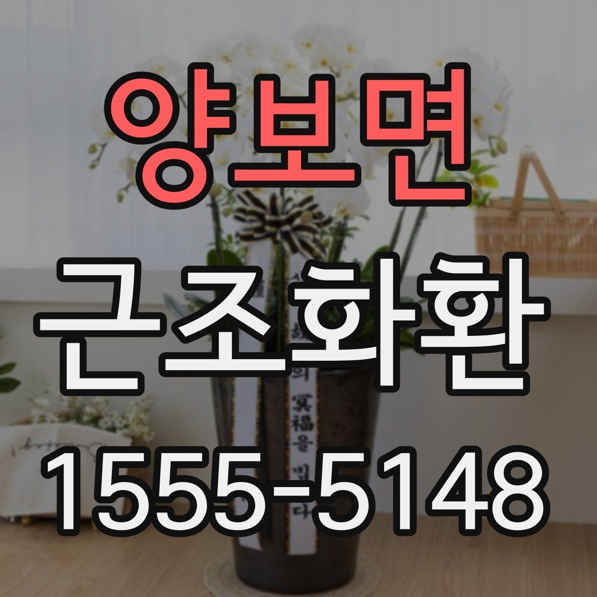 양보면 근조화환 화환 크기별 인상과 활용 상황 정리