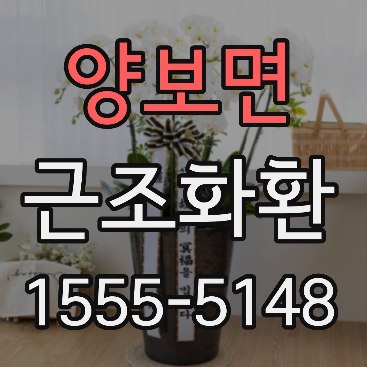 양보면 근조화환