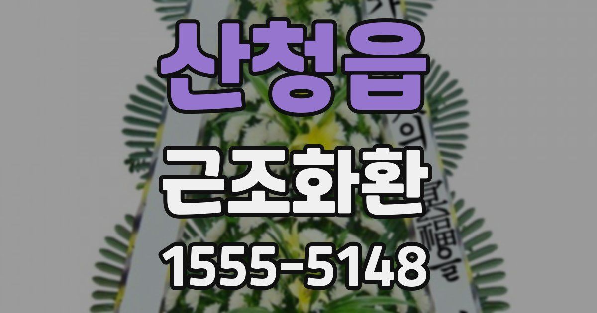 산청읍 근조화환