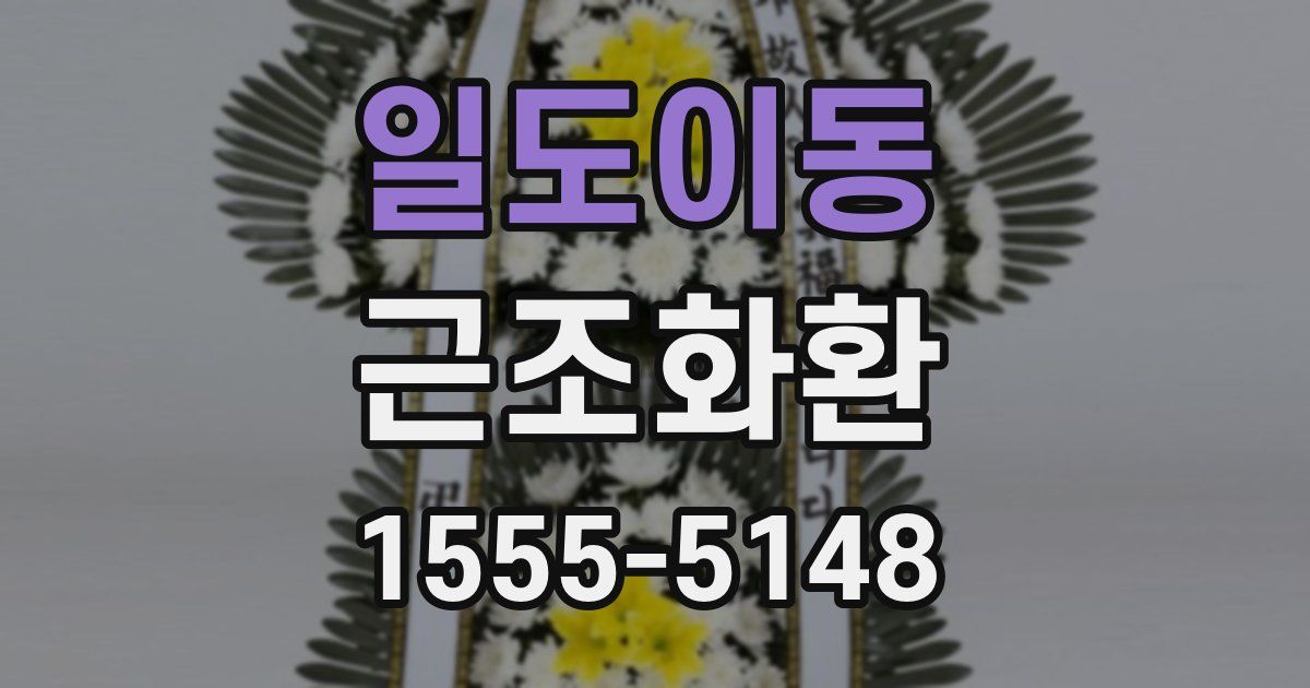 일도이동 근조화환