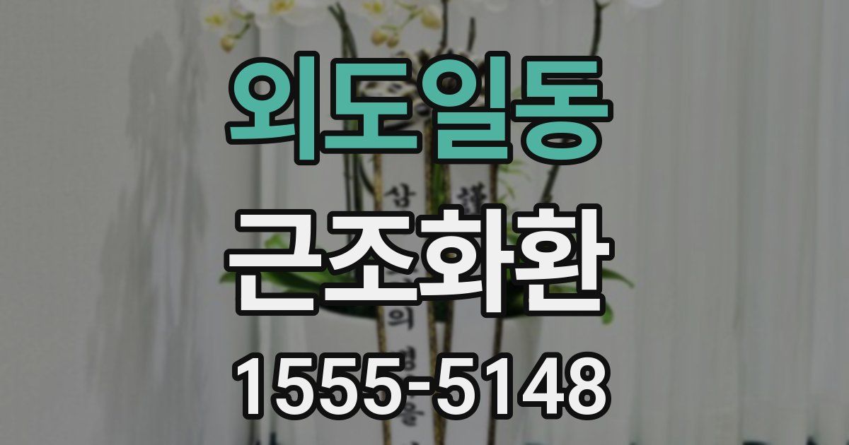 외도일동 근조화환