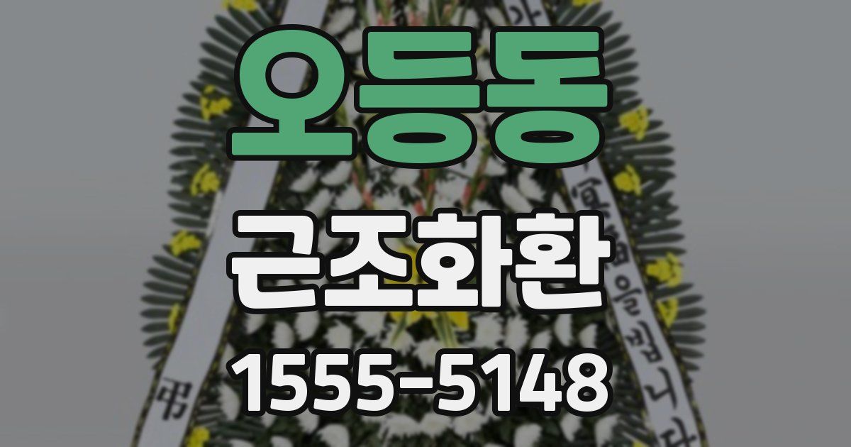 오등동 근조화환