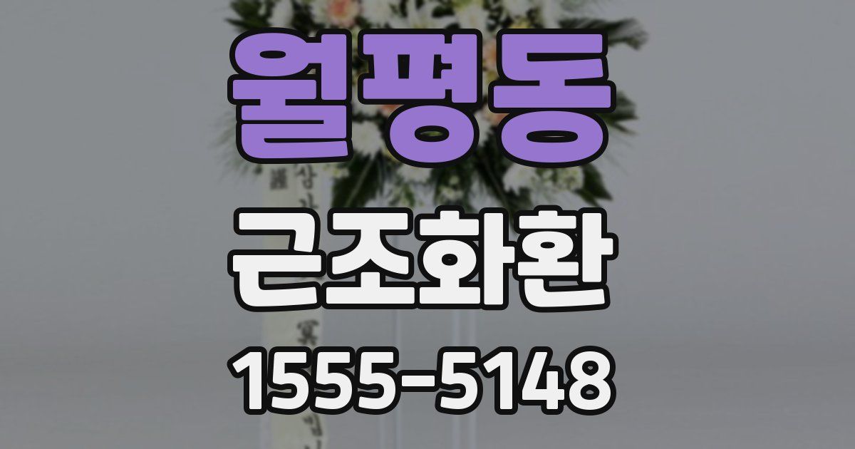 월평동 근조화환