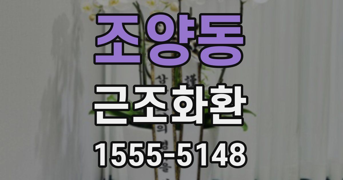 조양동 근조화환