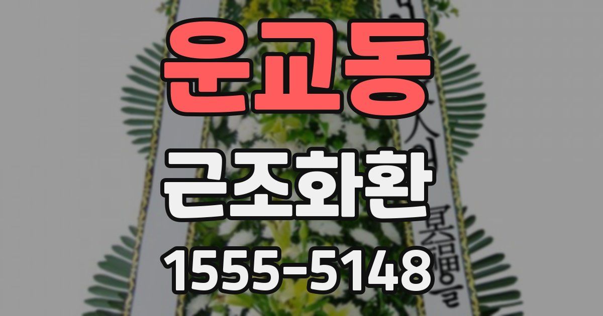운교동 근조화환