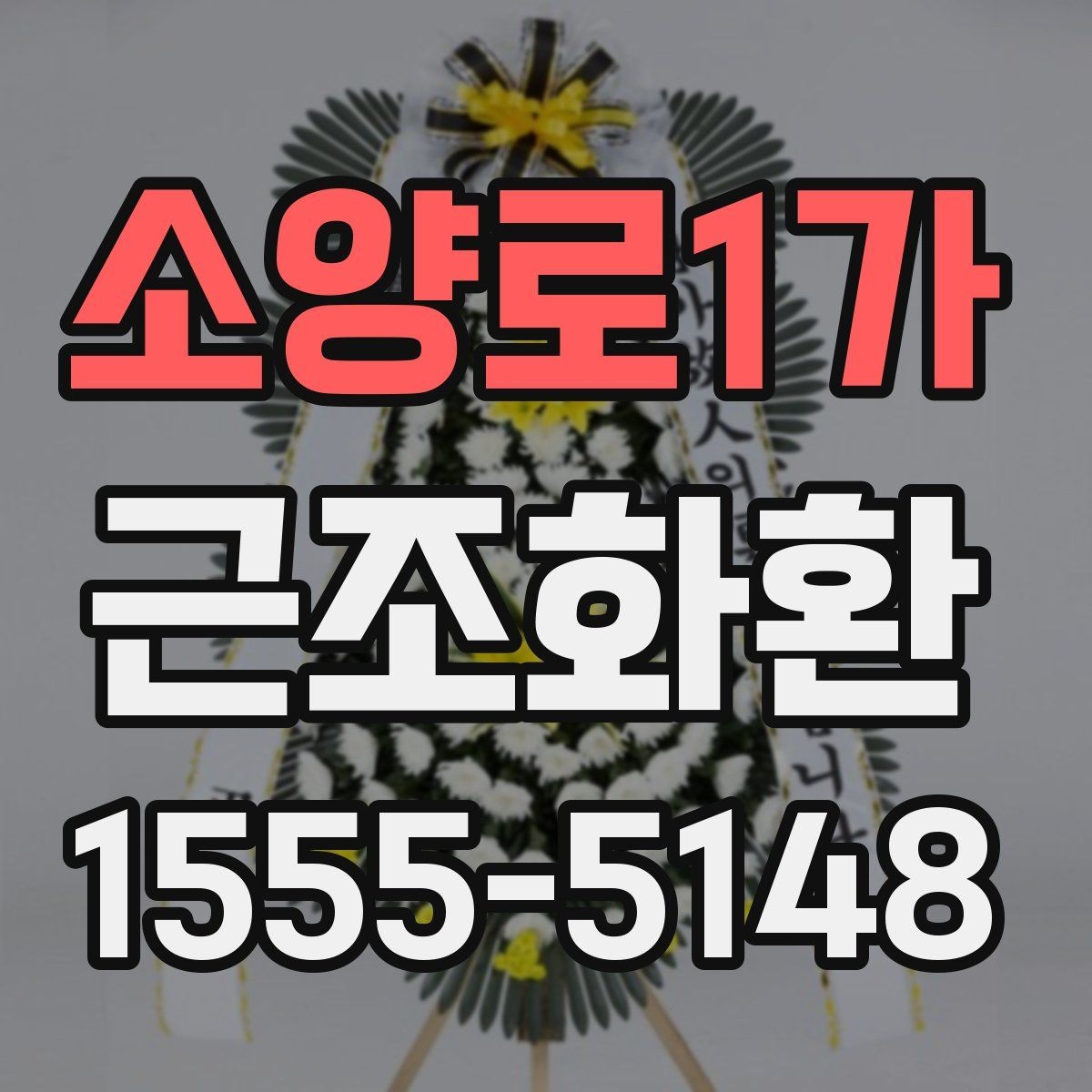 소양로1가 근조화환 비용 차이를 만드는 화환 재료와 높이